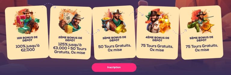 Wild Fortune Casino bonus